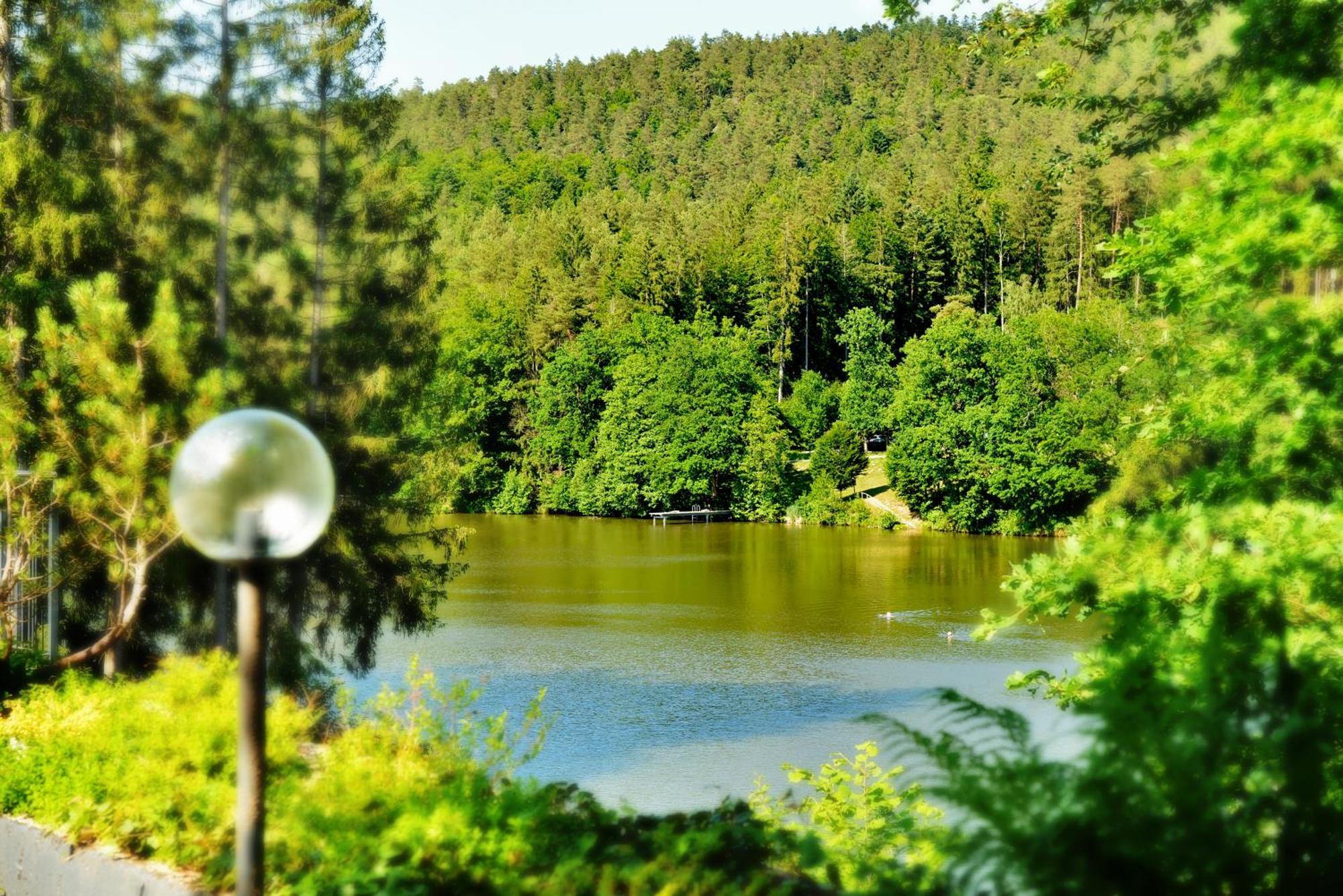 Das Dreiburgensee Naturhotel & Spa Thurmansbang Экстерьер фото